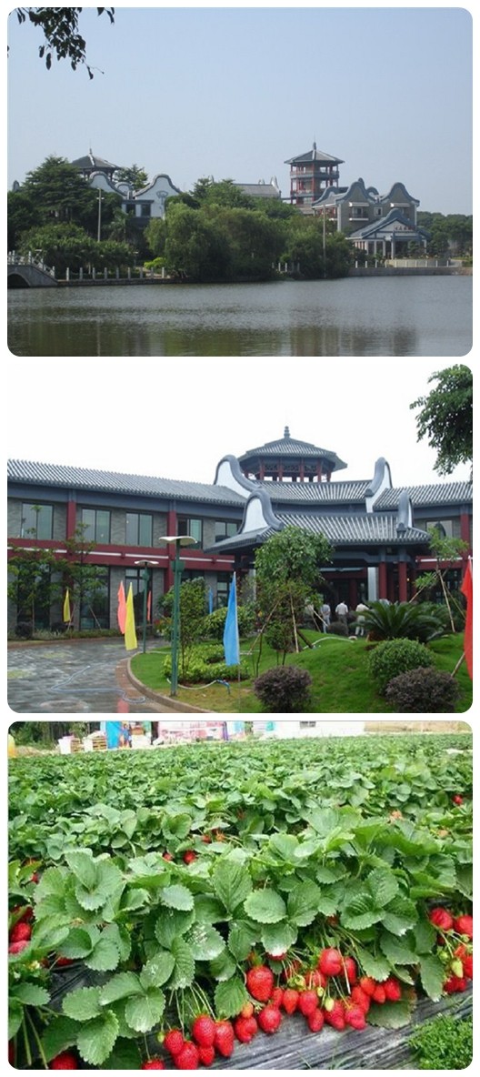 三水僑鑫生態(tài)園拓展基地2.jpg